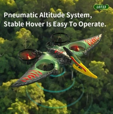 Dragon Remote Controlled Aeroplan L0713