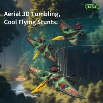 Dragon Remote Controlled Aeroplan L0713