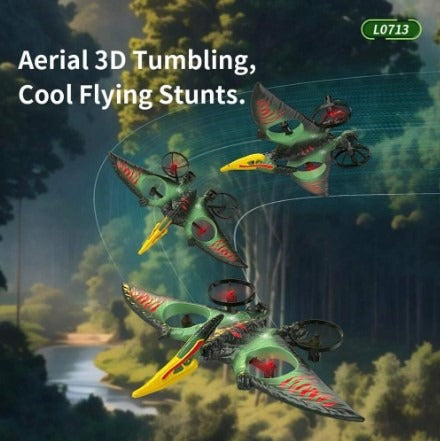 Dragon Remote Controlled Aeroplan L0713